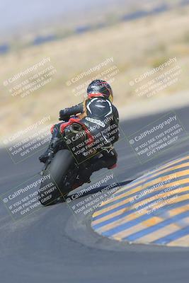 media/May-13-2023-SoCal Trackdays (Sat) [[8a473a8fd1]]/Turn 11 Backside (945am)/